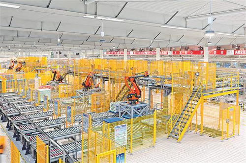 数智驱动，文化赋能 看伊利如何为龙江乳业发展注入新动能